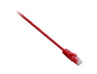 V7 Cat6 UTP 0.5m Red (V7E2C6U-50CM-RDS)